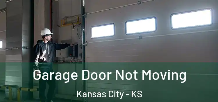  Garage Door Not Moving Kansas City - KS